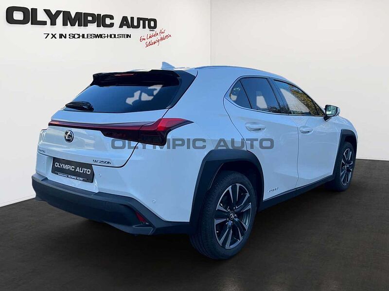 Lexus UX (ZA10) 250h Style Edition  KAMERA LED SITZHZG